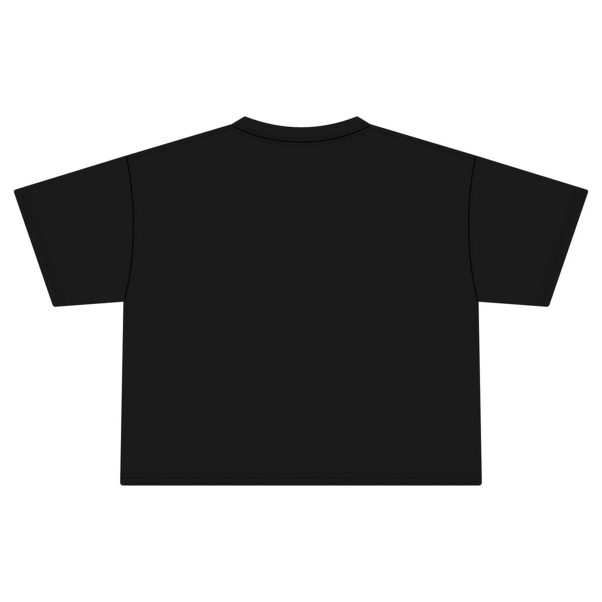 Feral Moms Social Club Crop Tee