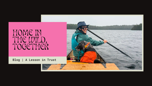 Home in the Wild: A Family Canoe Trip and a Lesson in Trust