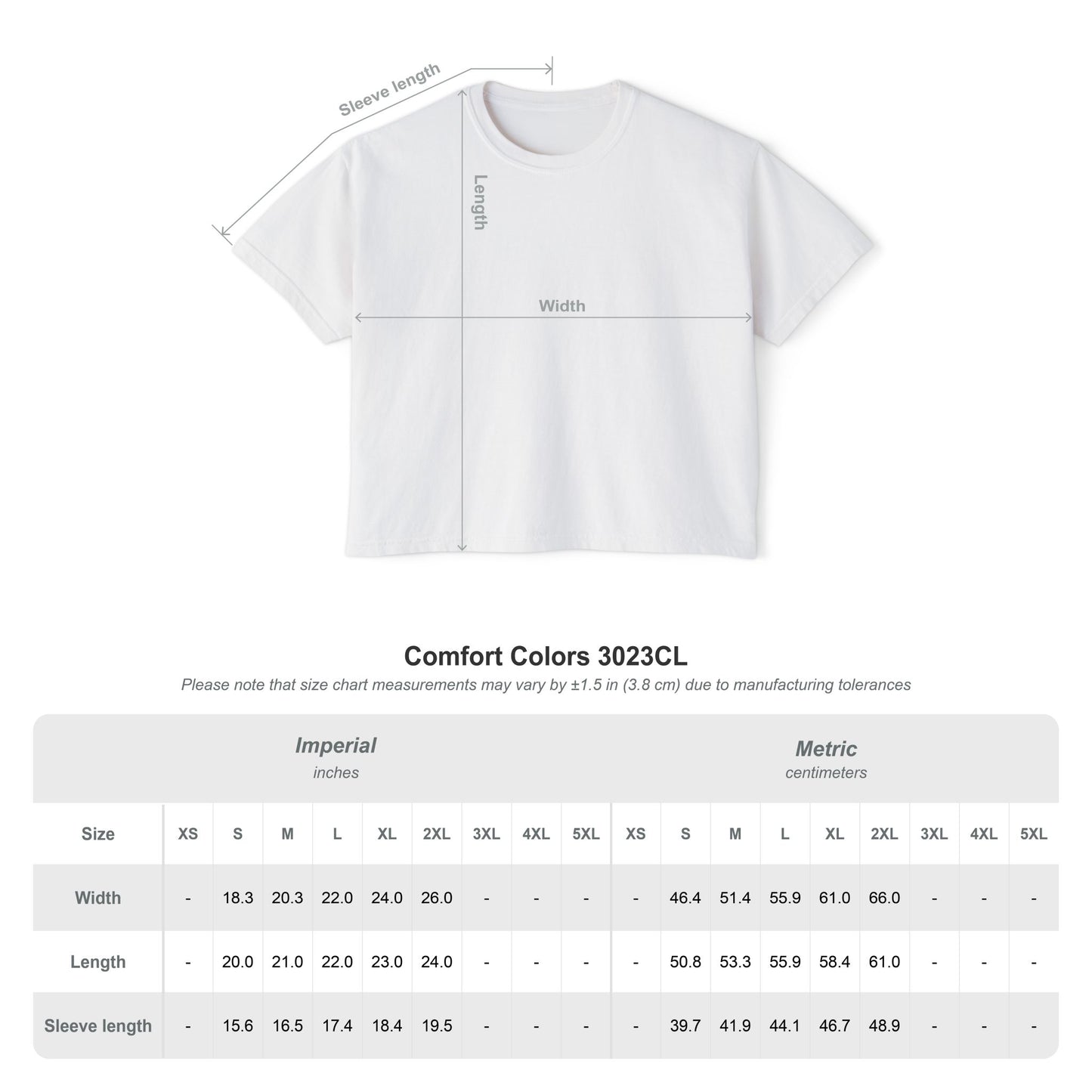 Aura Boxy Crop Tee
